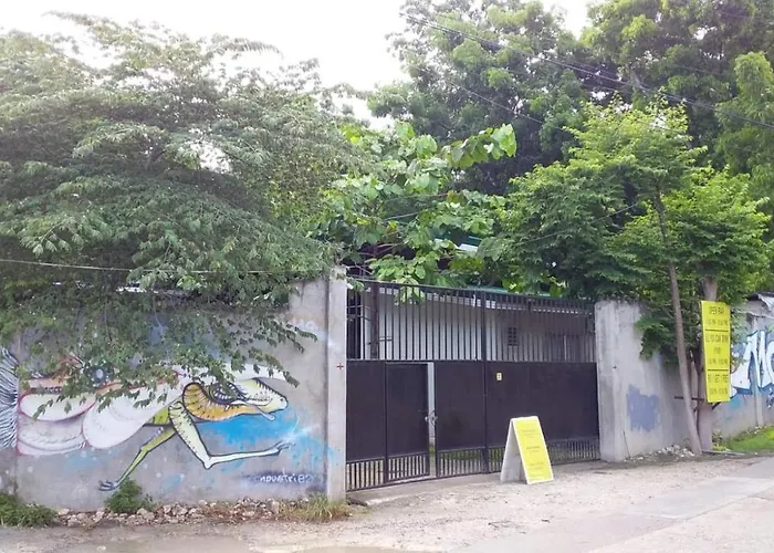 Hostel Moho Moalboal