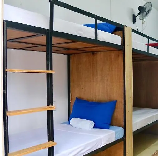 Moho Hostel *